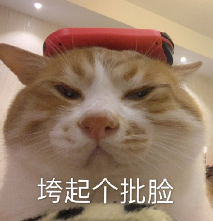 微信搞笑可爱卖萌表情6/18（三）