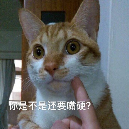 微信搞笑可爱卖萌表情6/18（二）