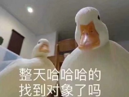 微信搞笑可爱卖萌表情6/18（一）