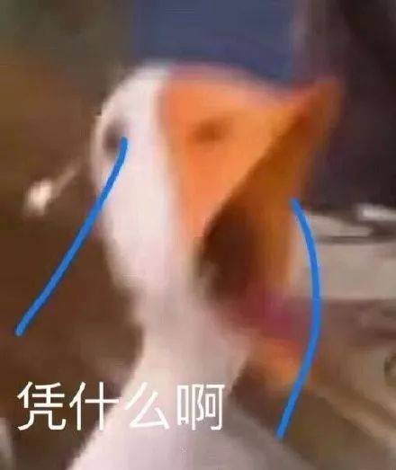 微信搞笑可爱卖萌表情6/18（一）