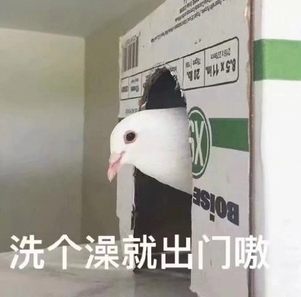 微信搞笑可爱卖萌表情6/18（三）