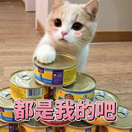 微信搞笑可爱卖萌表情6/18（一）