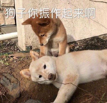 微信搞笑无厘头表情包6/18（二）