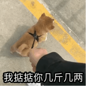 微信搞笑无厘头表情包6/18（三）