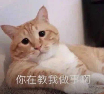 微信搞笑可爱卖萌表情6/18（三）