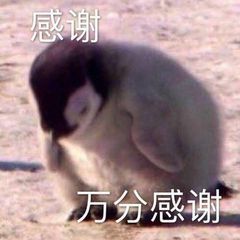 微信近期斗图恶搞表情包2020/6/20