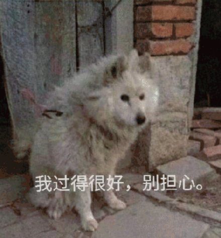 微信搞笑无厘头表情包6/20（二）