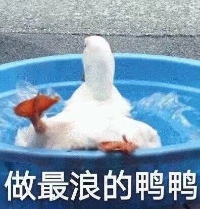 微信搞笑无厘头表情包6/20(二)