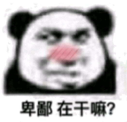 微信近期斗图恶搞表情包2020/6/21(二)