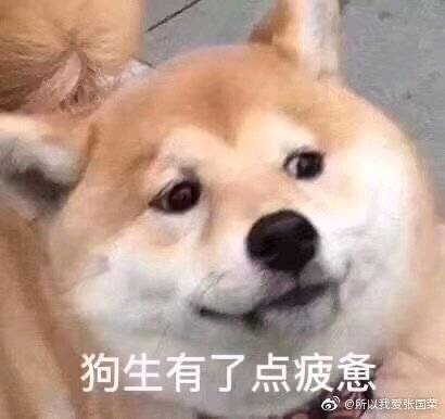 微信近期斗图恶搞表情包2020/6/21