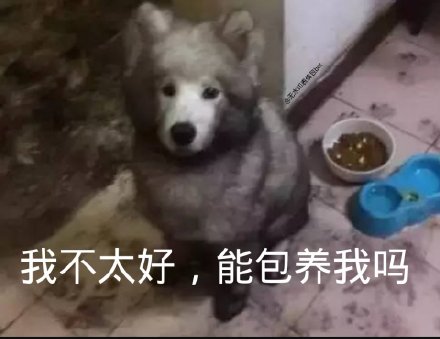 微信搞笑无厘头表情包6/20（二）