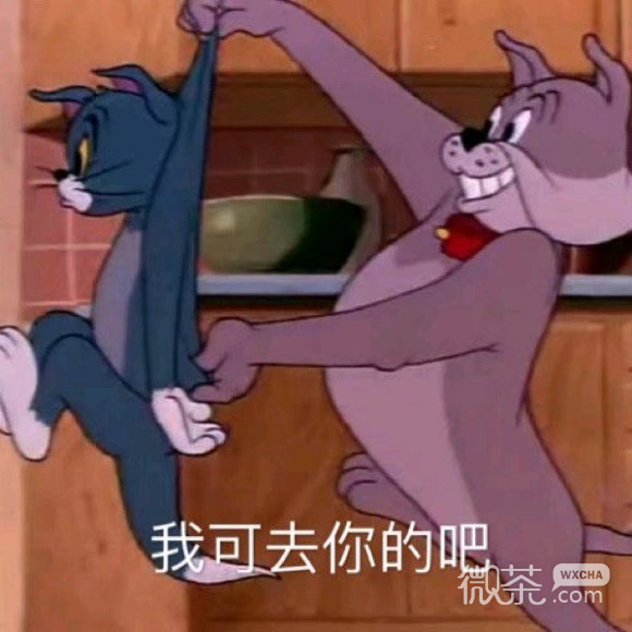 微信近期斗图恶搞表情包2020/6/21（二）