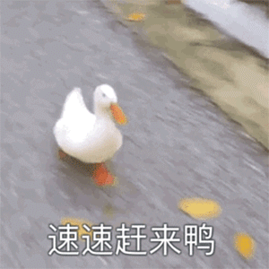 微信近期斗图恶搞表情包2020/6/20