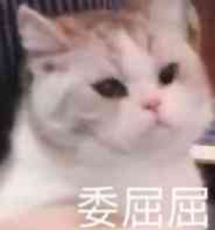 微信搞笑无厘头表情包6/20(二)