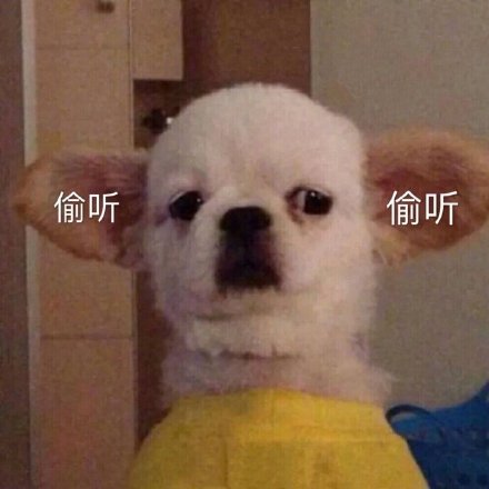 微信搞笑无厘头表情包6/20(二)