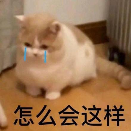 微信搞笑无厘头表情包6/20(二)