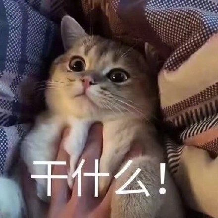 微信搞笑无厘头表情包6/20(二)