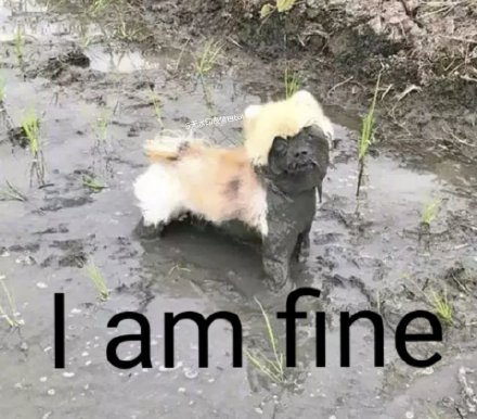 微信搞笑无厘头表情包6/20（二）