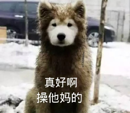 微信搞笑无厘头表情包6/20（二）