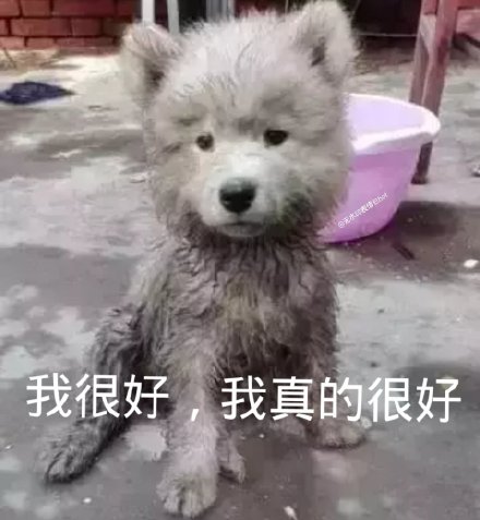 微信搞笑无厘头表情包6/20（二）