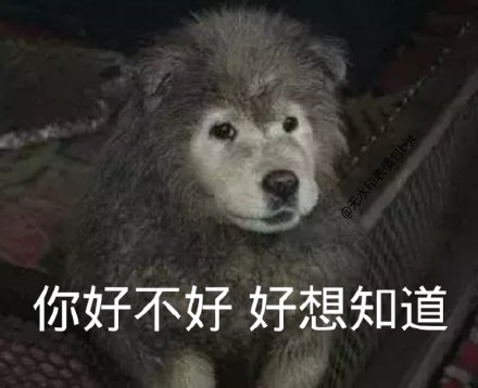 微信搞笑无厘头表情包6/20（二）