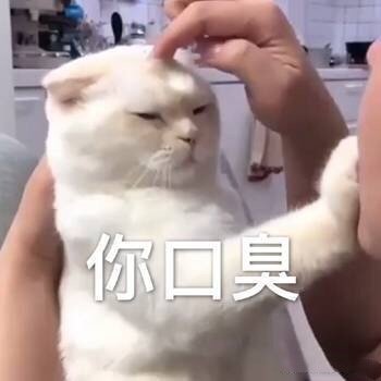 微信搞笑无厘头表情包6/20(二)