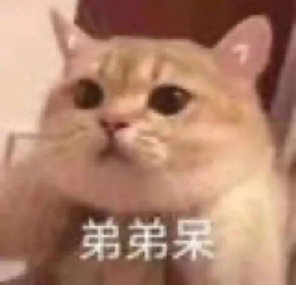 微信近期斗图恶搞表情包2020/6/20