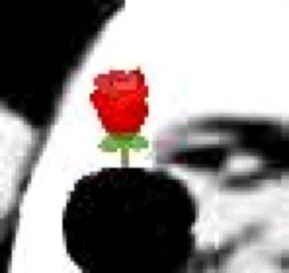 微信近期斗图恶搞表情包2020/6/19（二）