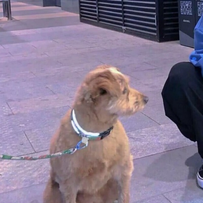 情侣头像之对象不是人系列