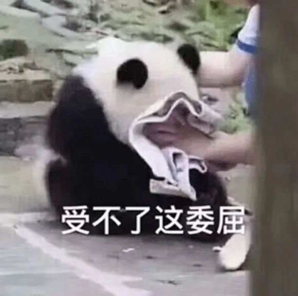 微信近期斗图恶搞表情包2020/6/20（二）