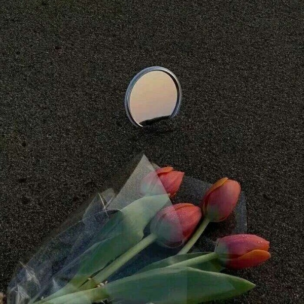 新鲜唯美静物背景图