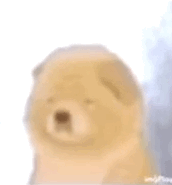 微信近期斗图恶搞表情包2020/6/22（二）