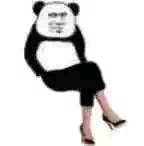 微信近期斗图恶搞表情包2020/6/25