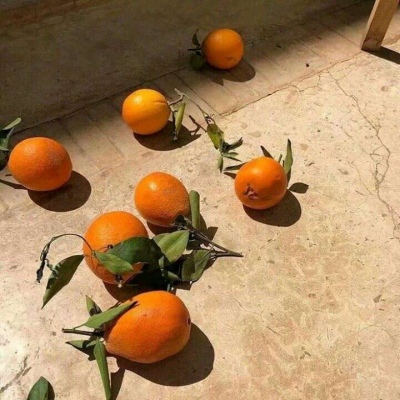 黄色唯美意境小清新背景图