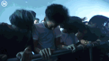 抖音三只猫,五只猫摇头蹦迪搞笑表情包动图