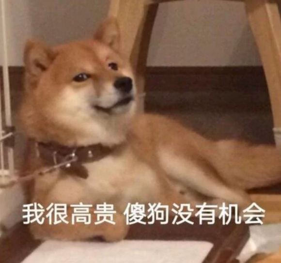 微信近期斗图恶搞表情包2020/6/22