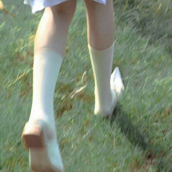 新鲜唯美静物背景图