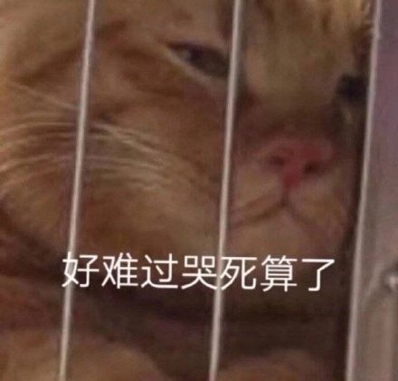 微信搞笑可爱卖萌表情6/22（一）