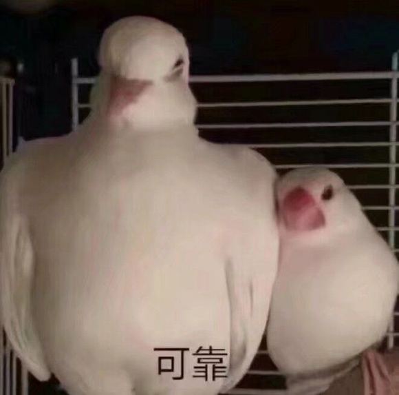 微信近期斗图恶搞表情包2020/6/22(二)