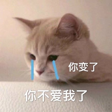 微信搞笑可爱卖萌表情6/22（一）