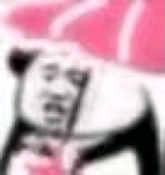 微信近期斗图恶搞表情包2020/6/25(二)