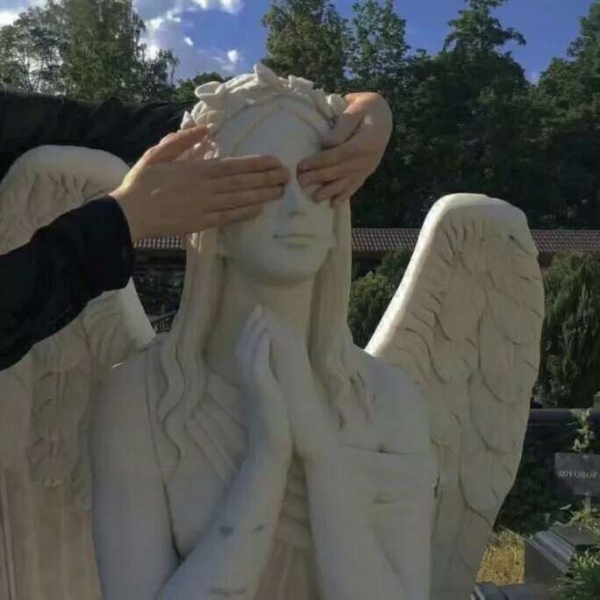 新鲜唯美静物背景图