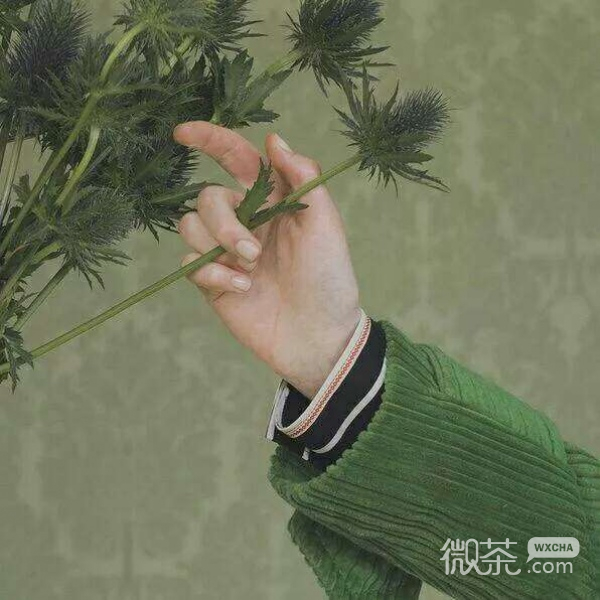 新鲜唯美静物背景图