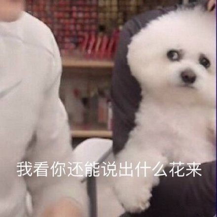 微信搞笑无厘头表情包6/26（一）