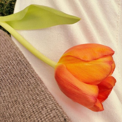 ins风清新美好生活随景背景图