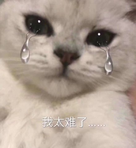 微信搞笑无厘头表情包6/23（二）