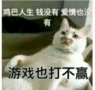 微信近期斗图恶搞表情包2020/6/23（二）