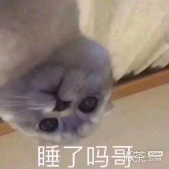 微信近期斗图恶搞表情包2020/6/23（二）