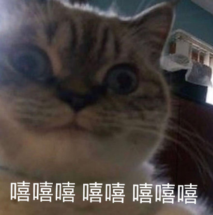 微信搞笑无厘头表情包6/23（二）