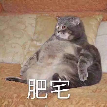 微信搞笑无厘头表情包6/23（二）